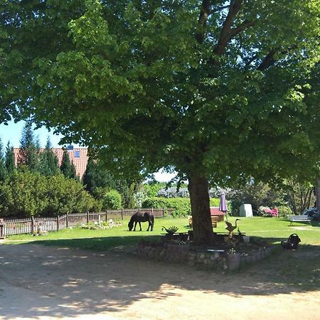 Kastanienhof Holländer Lägenhet Schlotfeld Exteriör bild